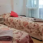 вълчеви 4* 네세부르
