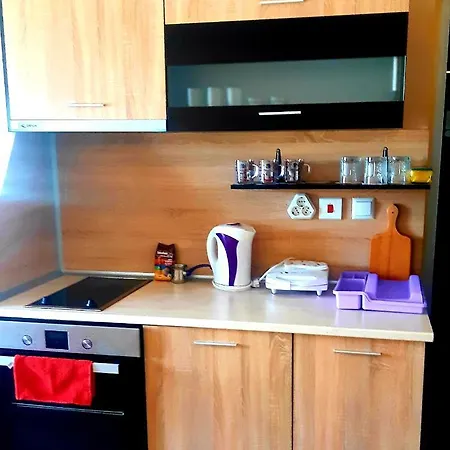 게스트하우스 вълчеви