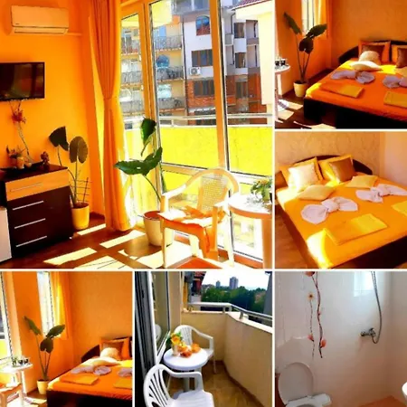 вълчеви 네세부르