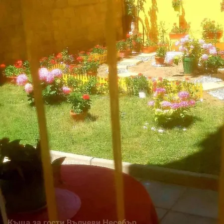 вълчеви 게스트하우스