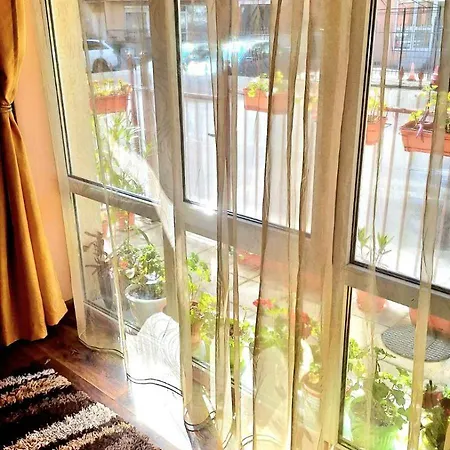 вълчеви 네세부르