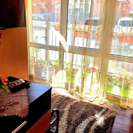 вълчеви 게스트하우스 네세부르