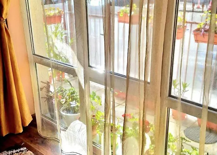 вълчеви Несебър